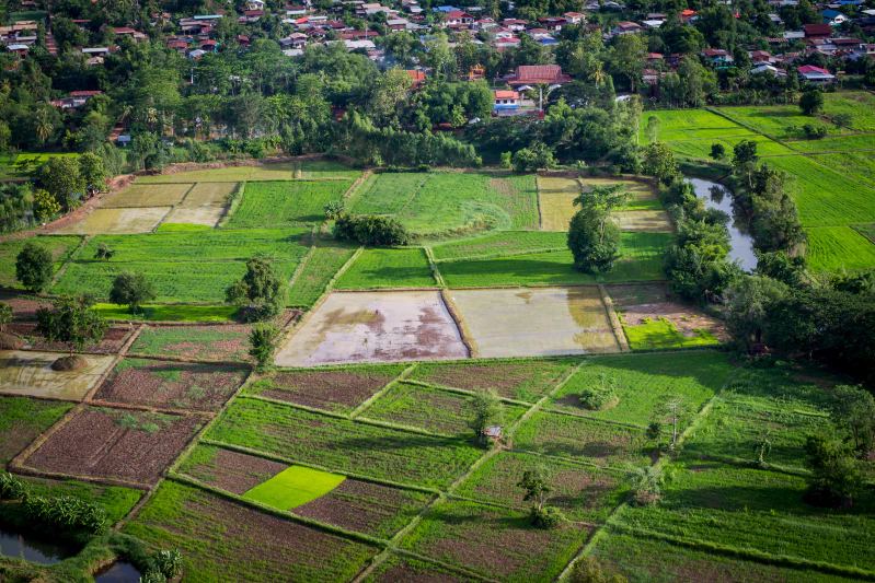 cara mengecek tanah bermasalah atau tidak