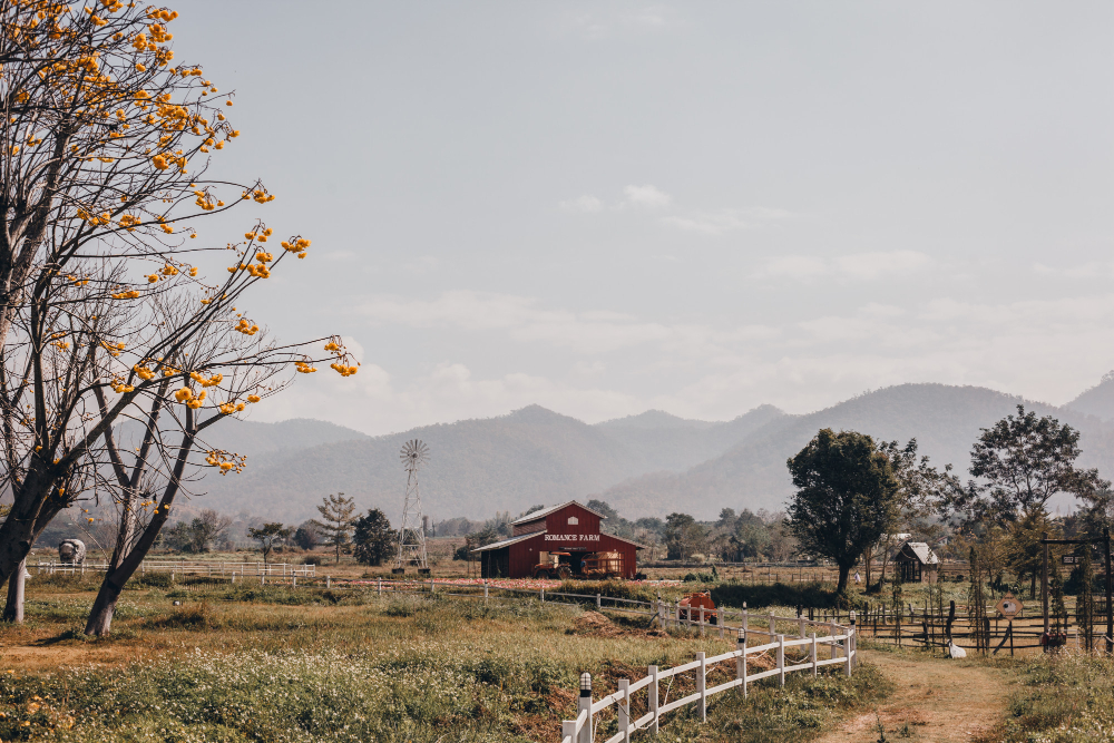 rekomendasi tempat wisata