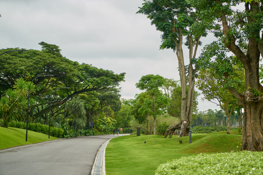 Taman hijau