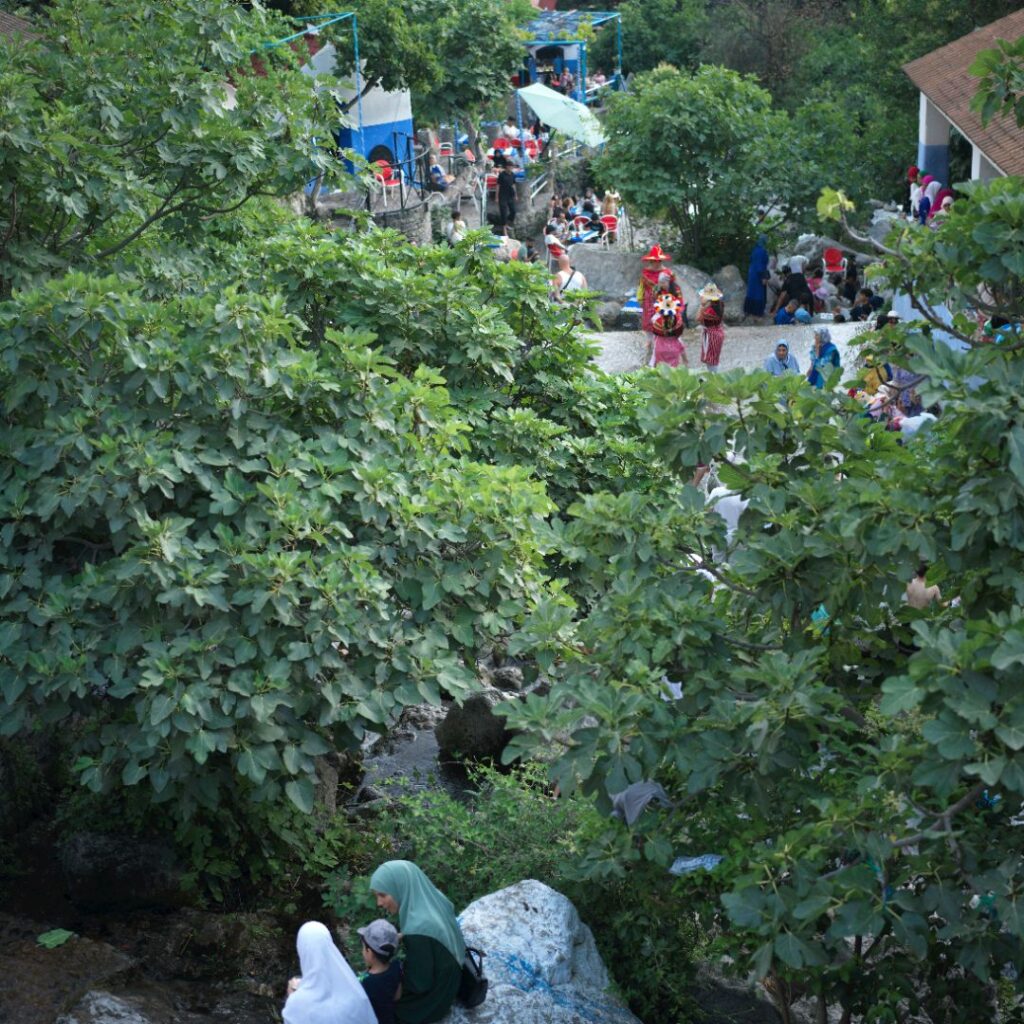 Beberapa keluarga sedang menikmati suasana alam dalam artikel aktivitas weekend keluarga di website ecotown.id