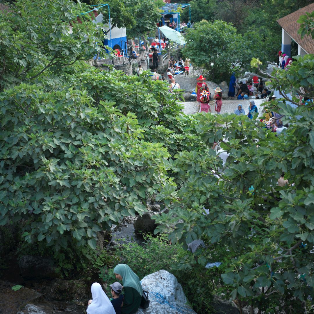 Beberapa keluarga sedang menikmati suasana alam dalam artikel aktivitas weekend keluarga di website ecotown.id