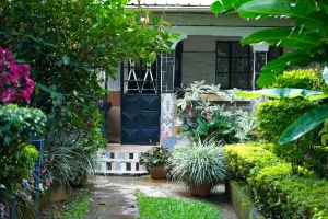 Tampak depan halaman sebuah rumah dalam artikel Tanaman Rumah Low Budget di website ecotown.id